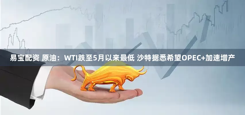 易宝配资 原油：WTI跌至5月以来最低 沙特据悉希望OPEC+加速增产